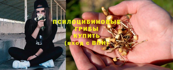 ГАЛЛЮЦИНОГЕННЫЕ ГРИБЫ Лихославль