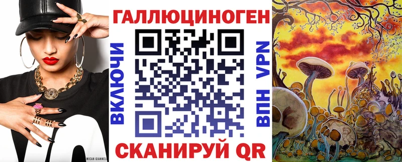 Галлюциногенные грибы Cubensis  Купить закладки  Гусь-Хрустальный 
